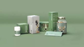 包裝設計 套路可循還是創意無限？